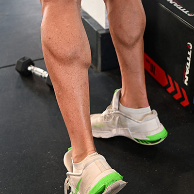 legs